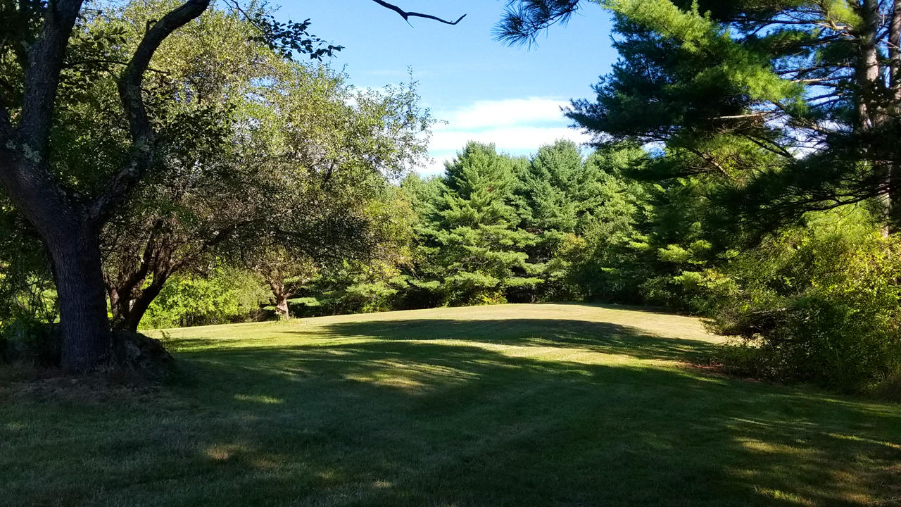 52 North Newcastle Road Newcastle, ME 04553 - Photo 18 of 50 Meadow-1-1280 x 720