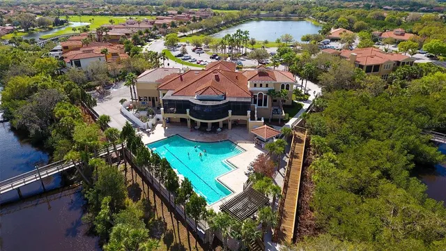 a view of a park with palm trees