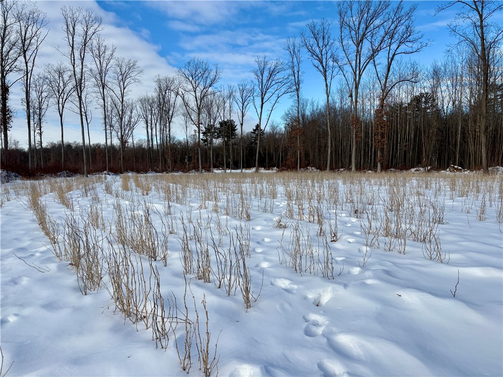 0 Sherwood Road Granton, WI 54436 - Photo 47 of 59