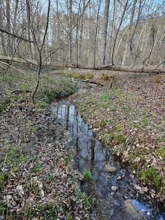 484 Dobbins Bridge Road Blackstone, VA 23824 - Photo 65 of 68 branch running thru center of property