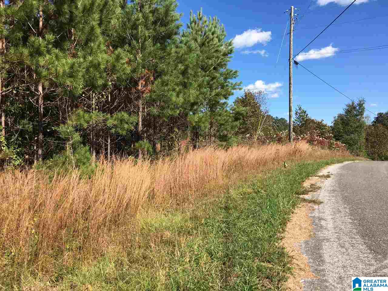 0 Rocky Rdg Road, Unit 25 A & B PLUS 26 Odenville, AL 35120 - Photo 1 of 4