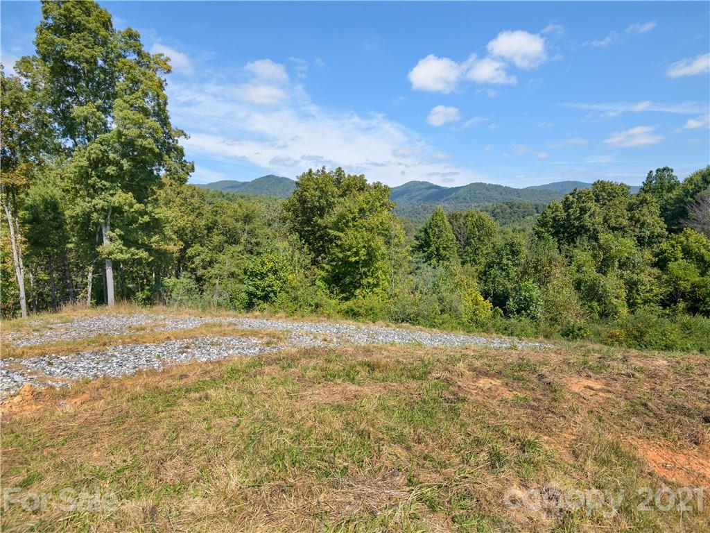 354 Sandy Bottom Road Marshall, NC 28753 - Photo 5 of 12 a view of a yard with a tree