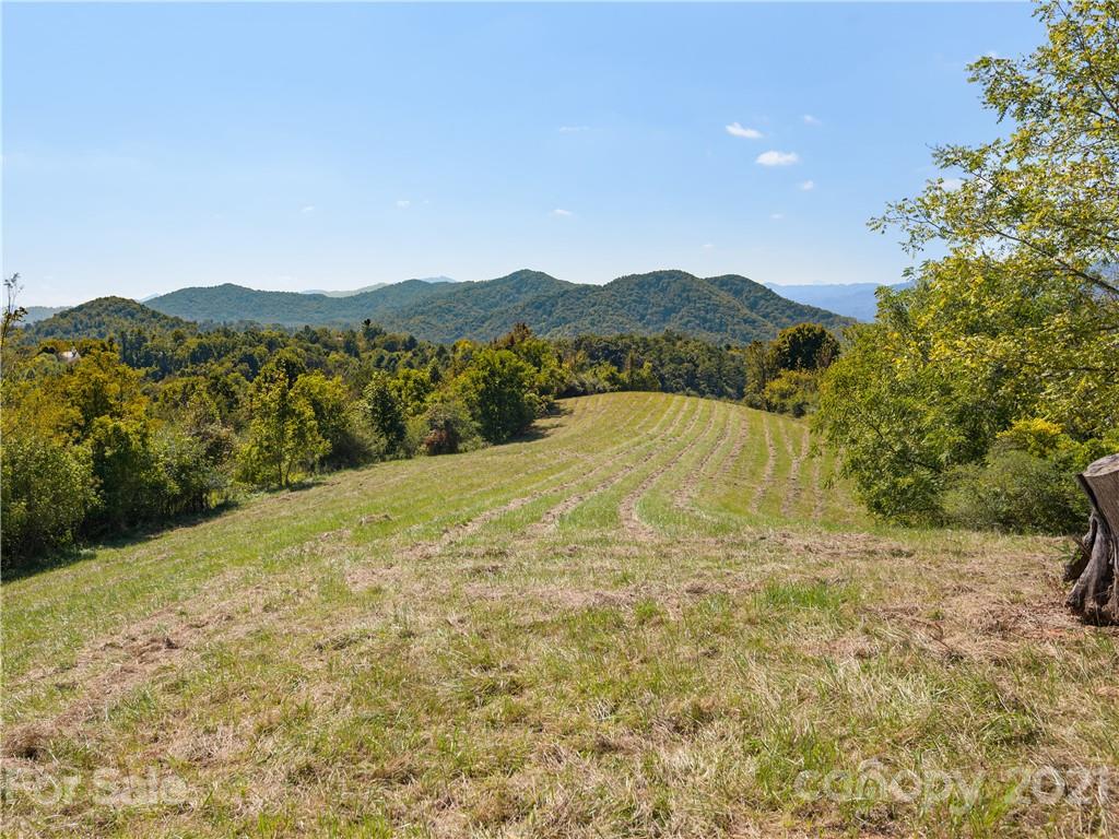 354 Sandy Bottom Road Marshall, NC 28753 - Photo 6 of 12 a view of lake with mountain
