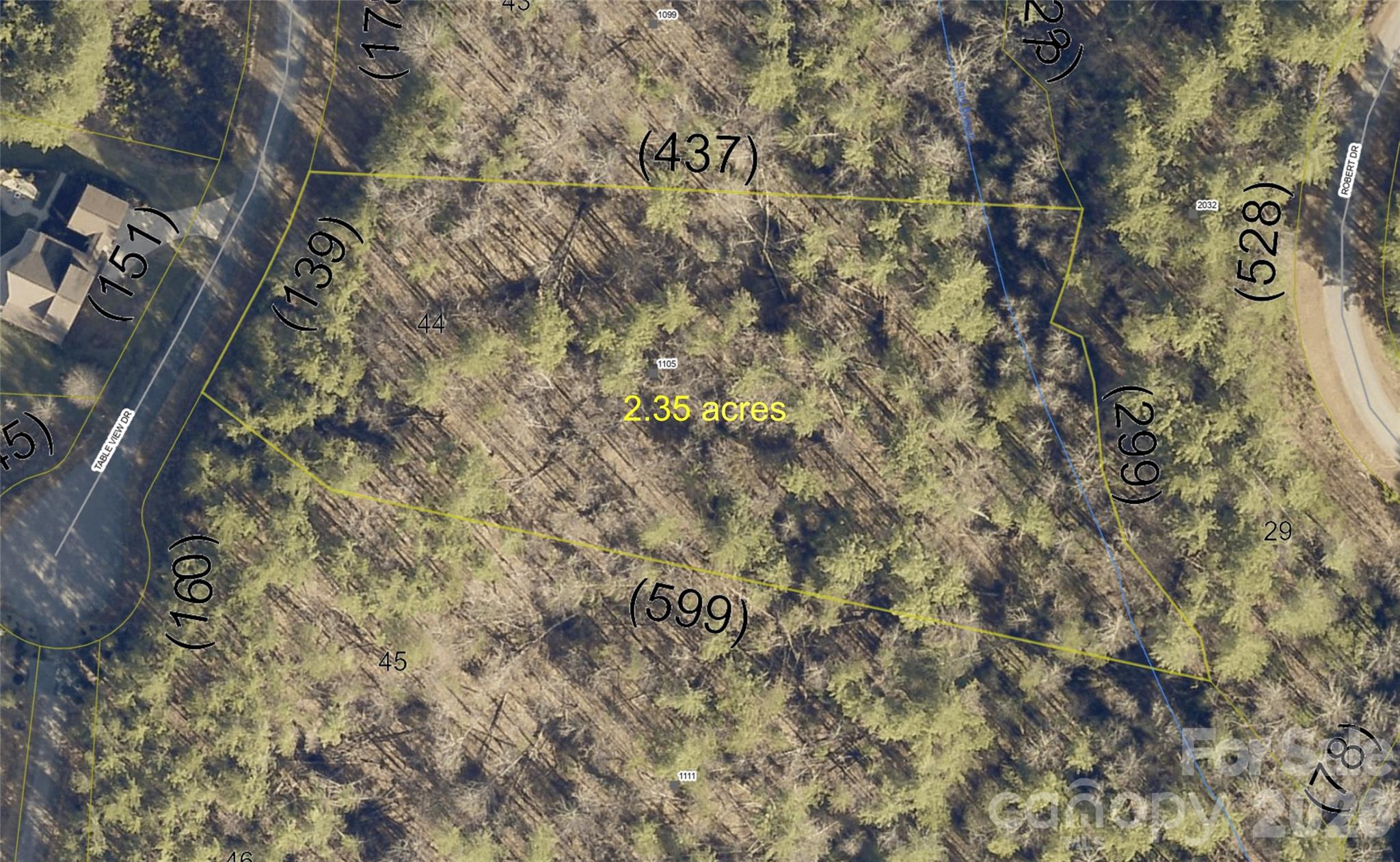 1105 Table View Drive Morganton, NC 28655 - Photo 1 of 1 a close up of a plant