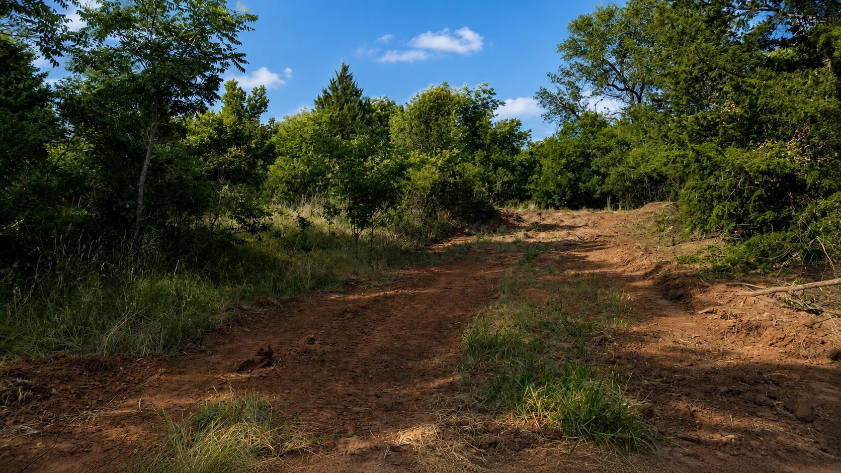 Adair Road Byers, TX 76357 - Photo 29 of 40 Gallery Image 29