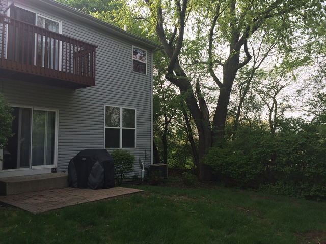 387 Ridge Road North Aurora, IL 60542 - Photo 23 of 25