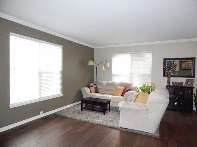 387 Ridge Road North Aurora, IL 60542 - Photo 4 of 25