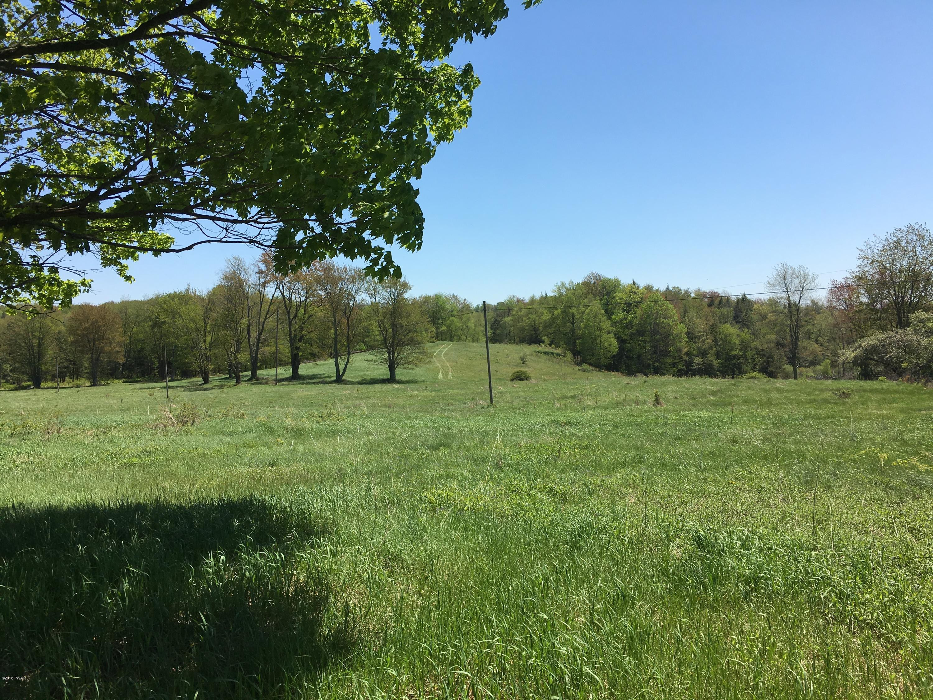 Dillmuth Road Honesdale, PA 18431 - Photo 1 of 6