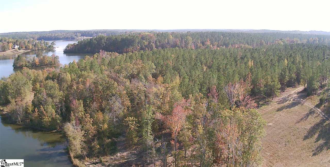 995 Johnson Road, Unit TRACT D Laurens, SC 29360 - Photo 3 of 14