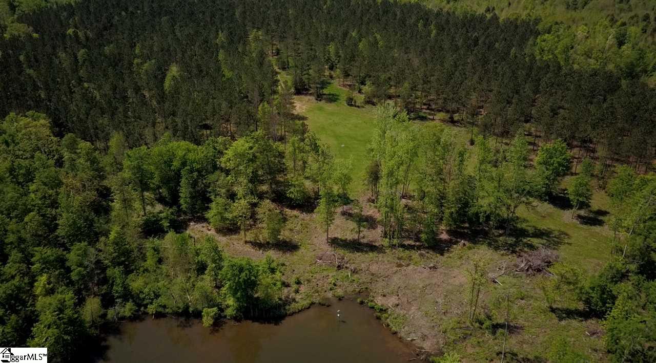 995 Johnson Road, Unit TRACT D Laurens, SC 29360 - Photo 4 of 14