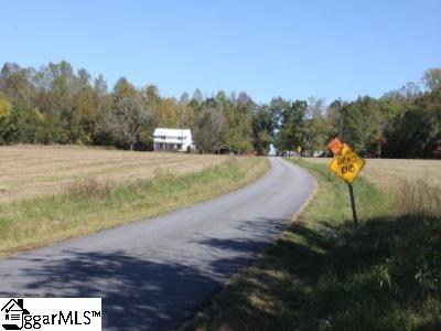 995 Johnson Road, Unit TRACT D Laurens, SC 29360 - Photo 6 of 14