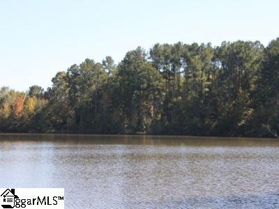 995 Johnson Road, Unit TRACT D Laurens, SC 29360 - Photo 10 of 14