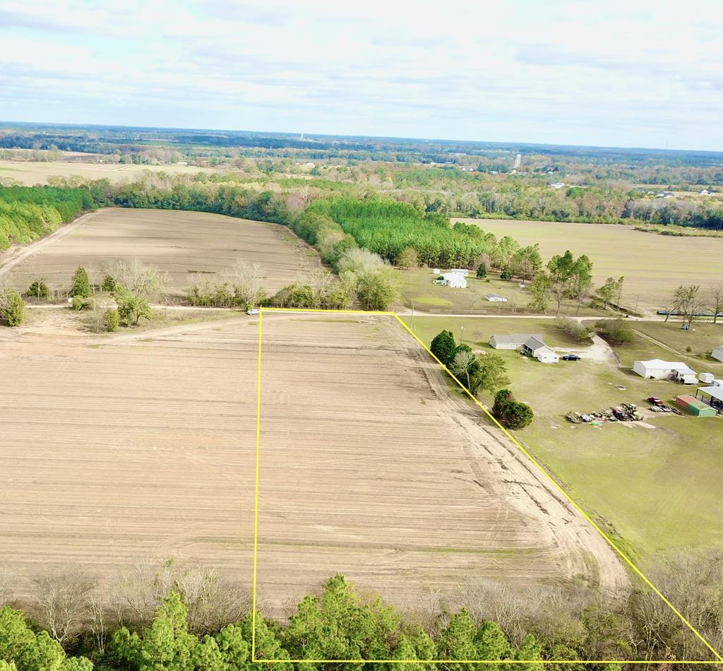 3.42-acres Summer Road Slocomb, AL 36375 - Photo 21 of 24