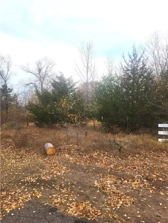 $32,500 | Lot 1 West Leonard Street, Chetek, WI 54728