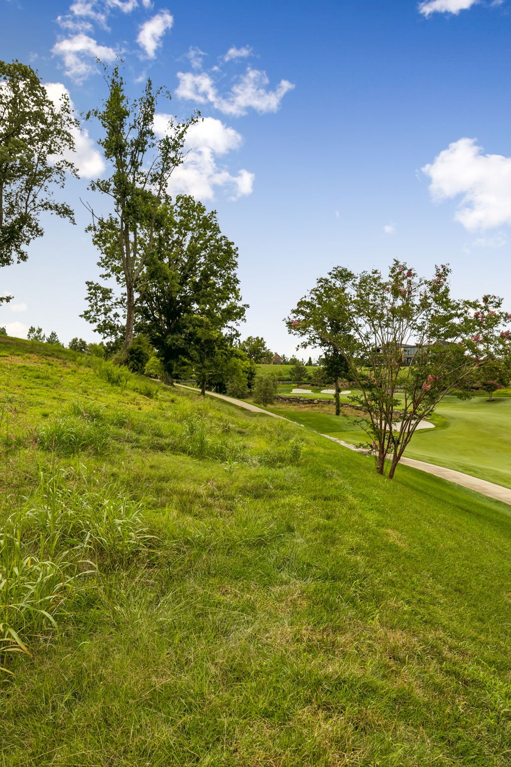 7588 Trident Ridge Road College Grove, TN 37046 - Photo 13 of 26