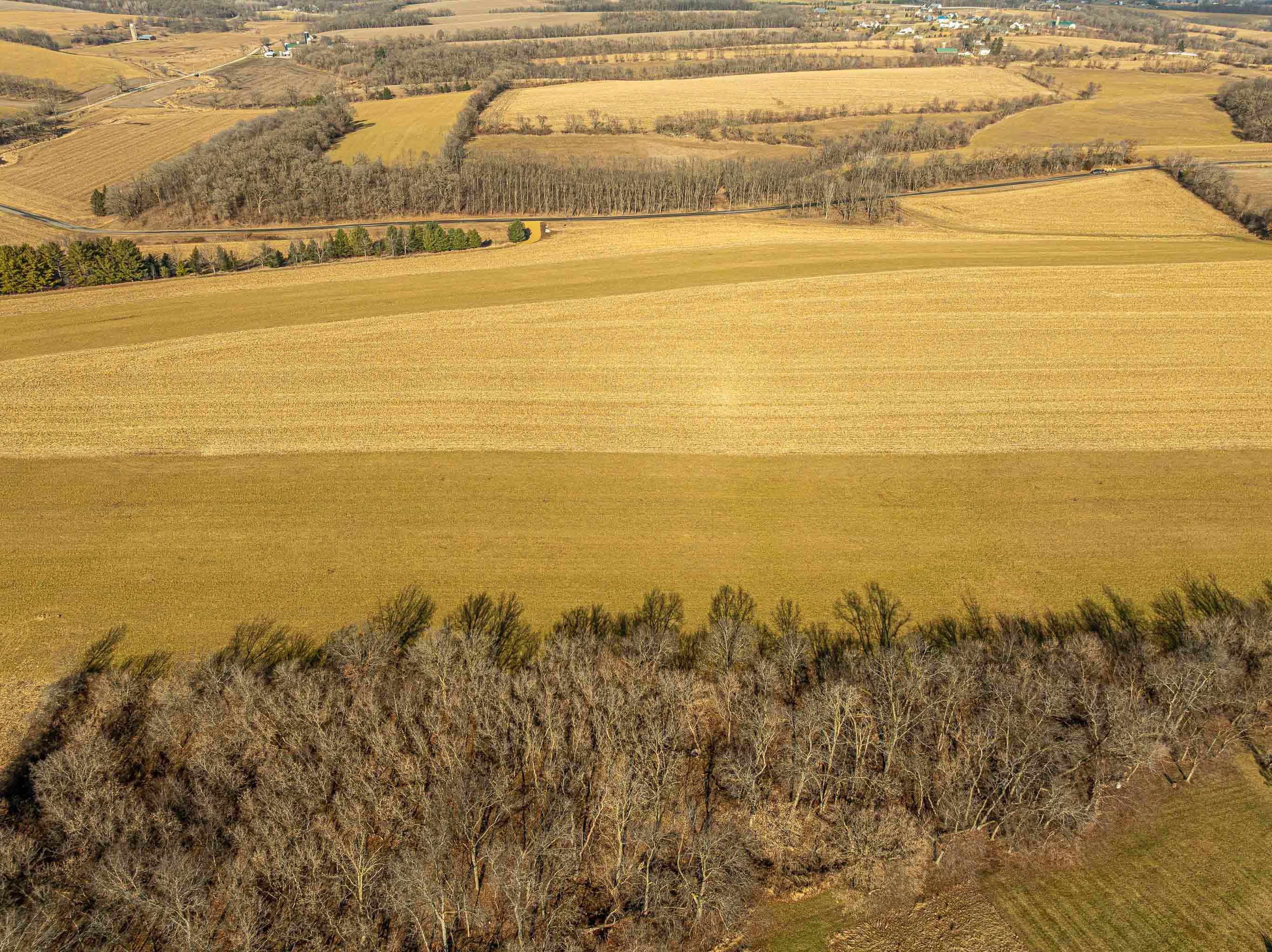 Lot 17 19.14 Acres Hefty Monticello, WI 53570 - Photo 14 of 31