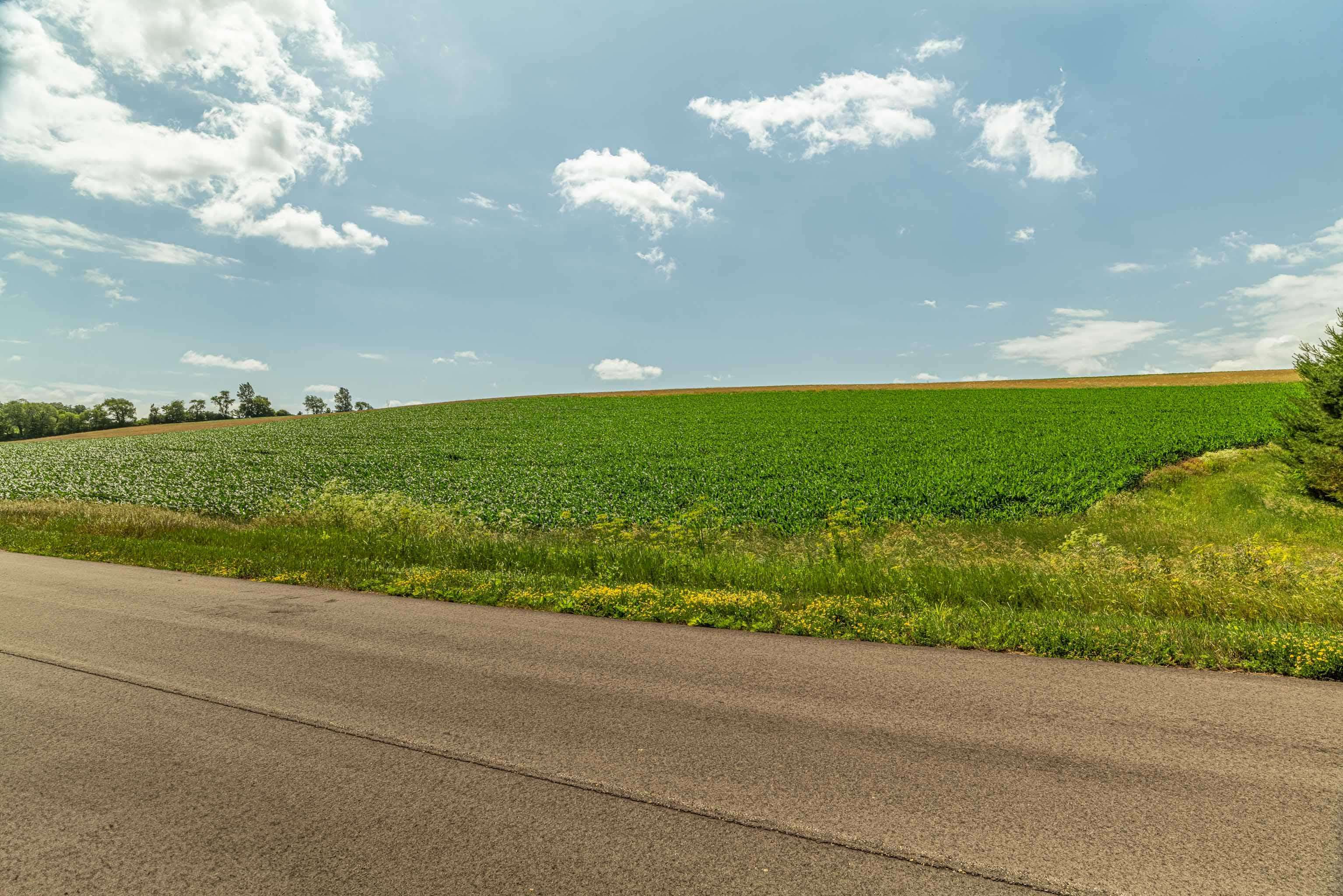 Lot 17 19.14 Acres Hefty Monticello, WI 53570 - Photo 18 of 31