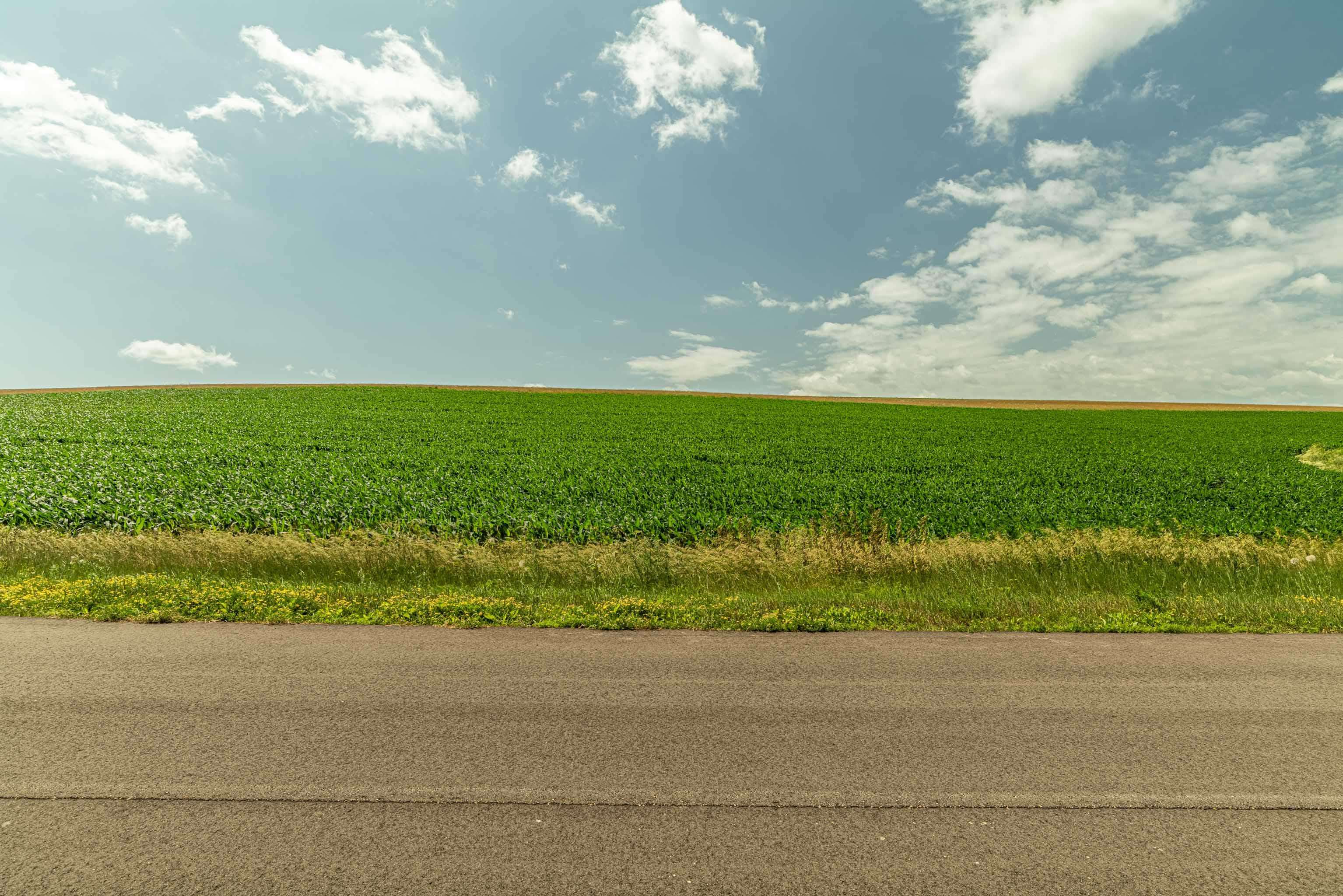 Lot 17 19.14 Acres Hefty Monticello, WI 53570 - Photo 20 of 31