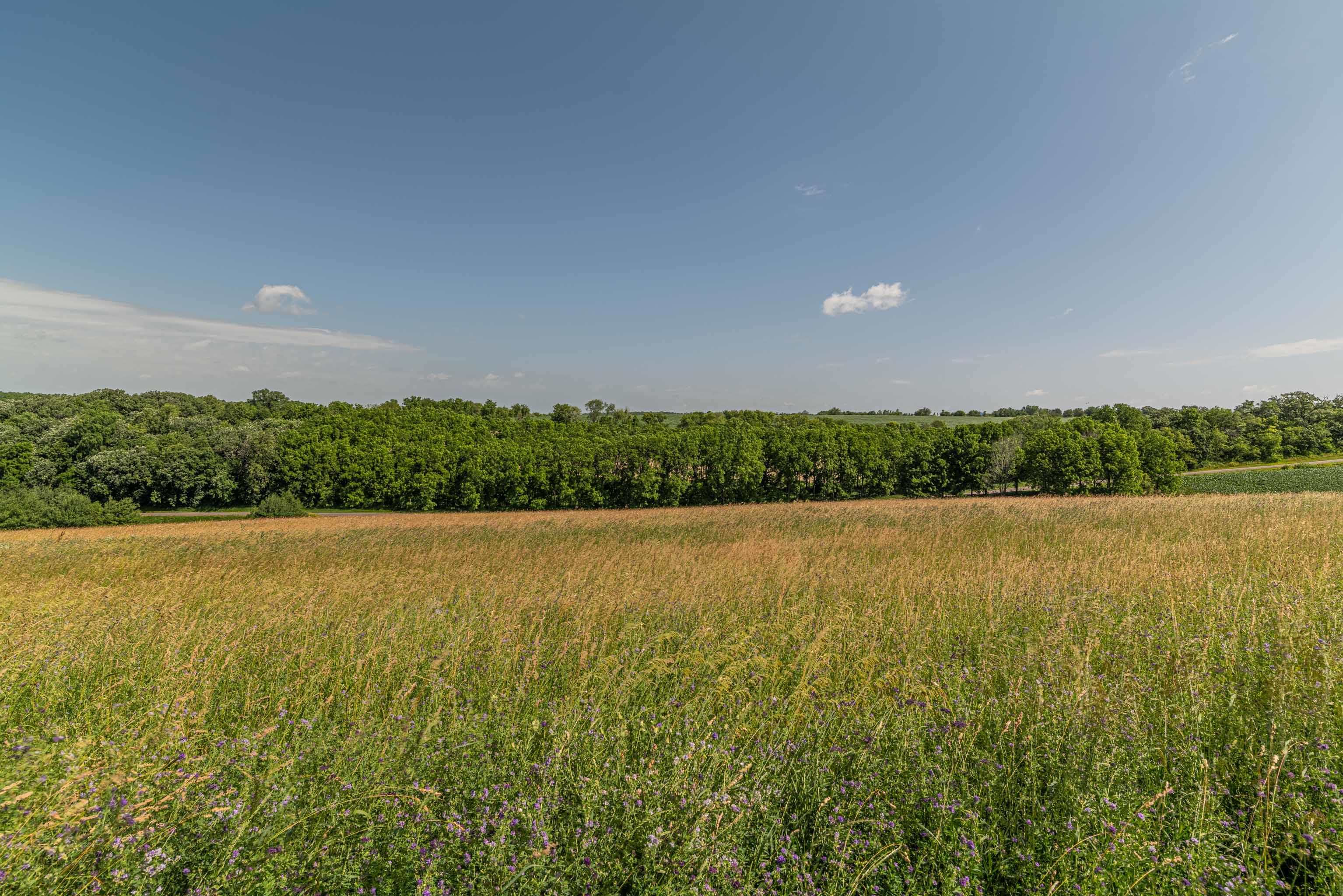 Lot 17 19.14 Acres Hefty Monticello, WI 53570 - Photo 29 of 31