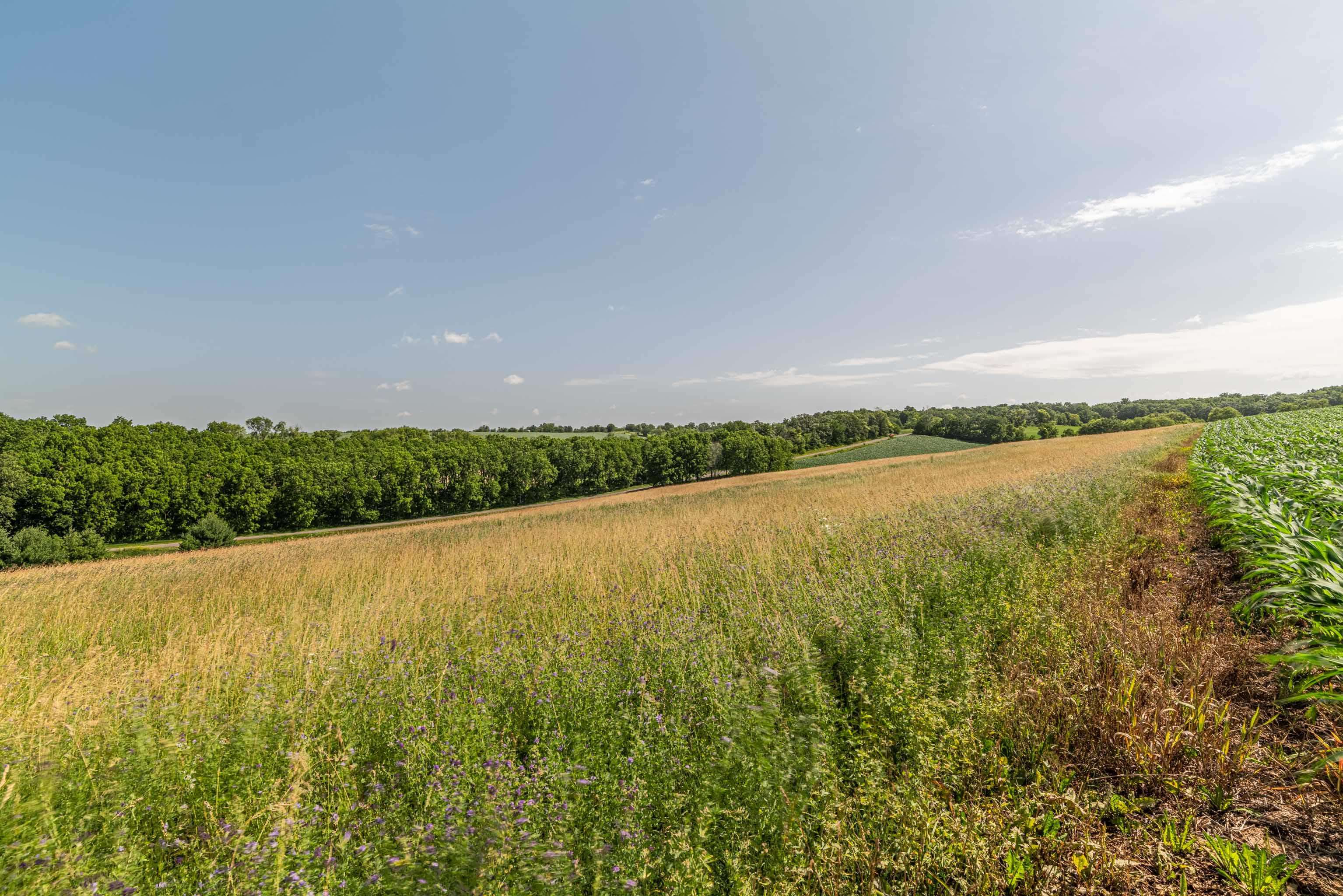 Lot 17 19.14 Acres Hefty Monticello, WI 53570 - Photo 30 of 31