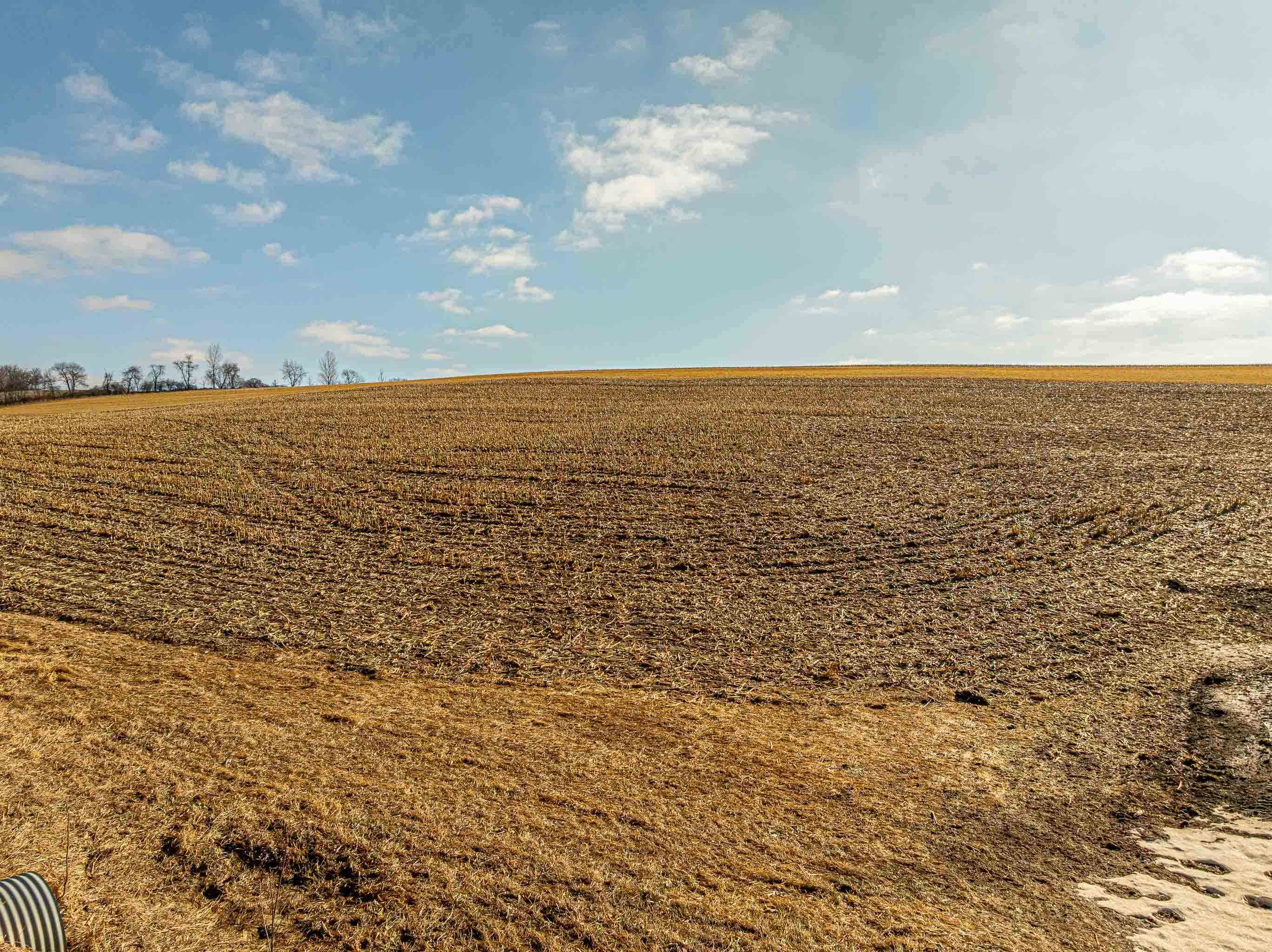 Lot 17 19.14 Acres Hefty Monticello, WI 53570 - Photo 5 of 31