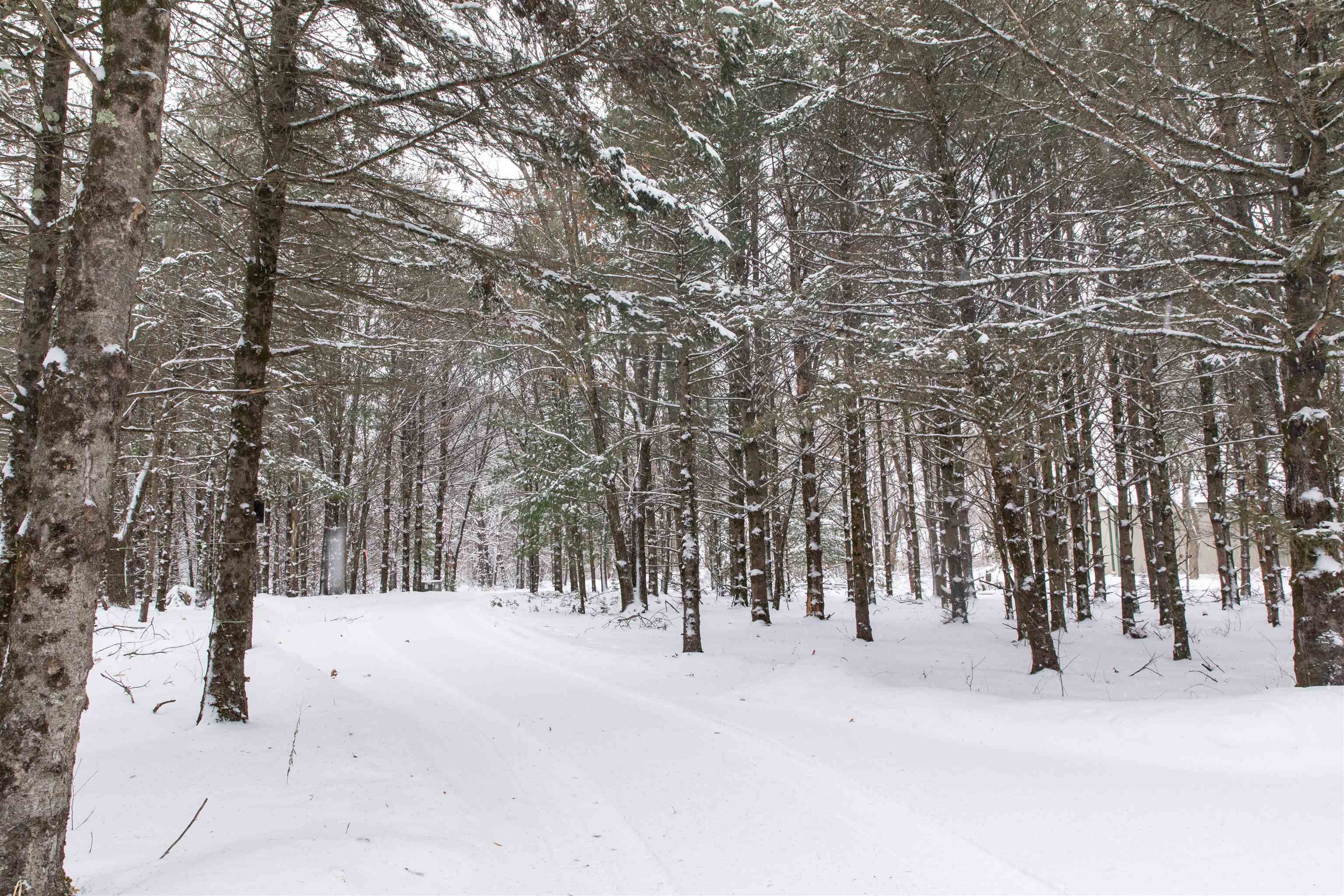 N1545 4th Coloma, WI 54930 - Photo 59 of 89