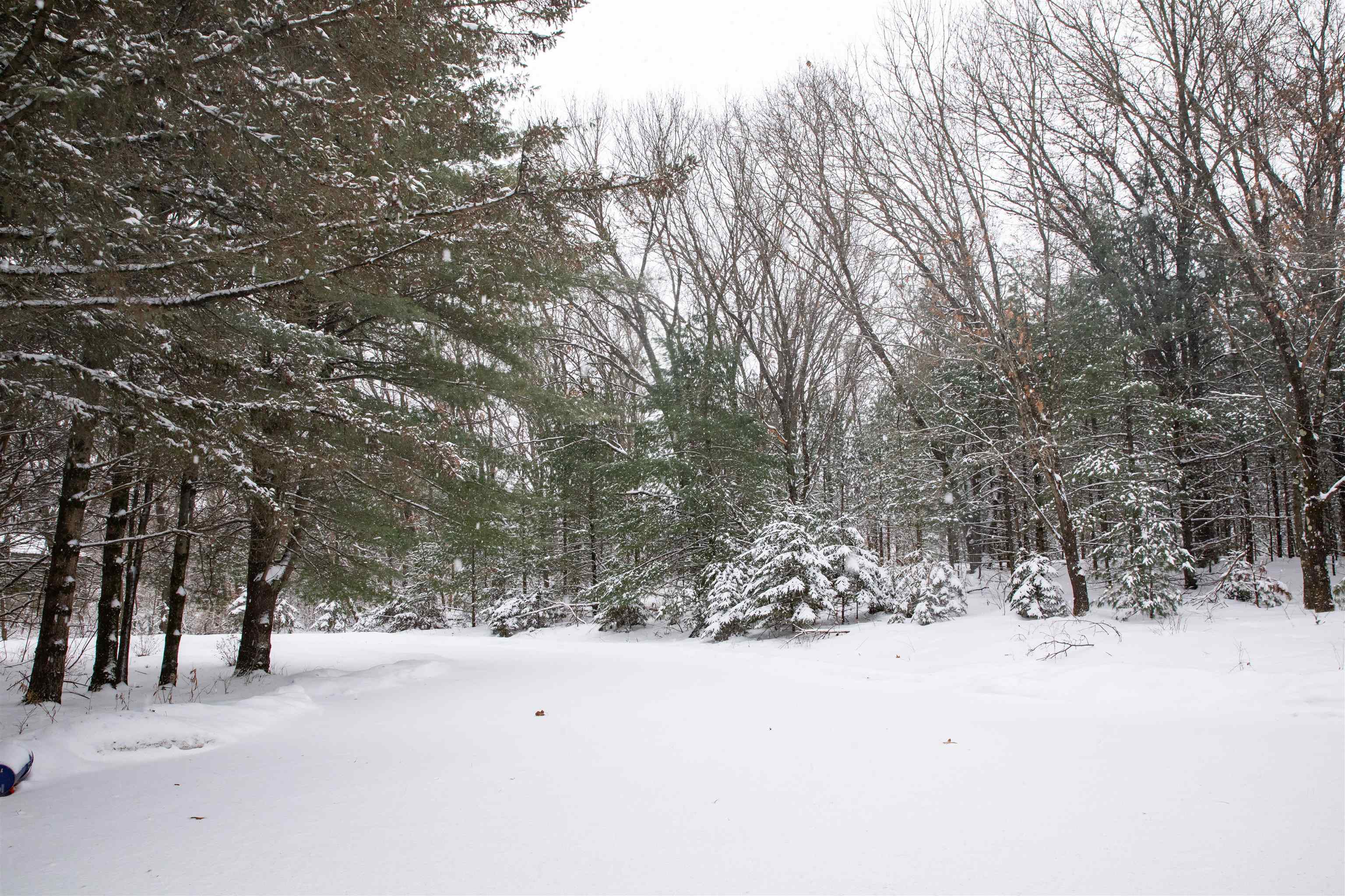 N1545 4th Coloma, WI 54930 - Photo 59 of 89