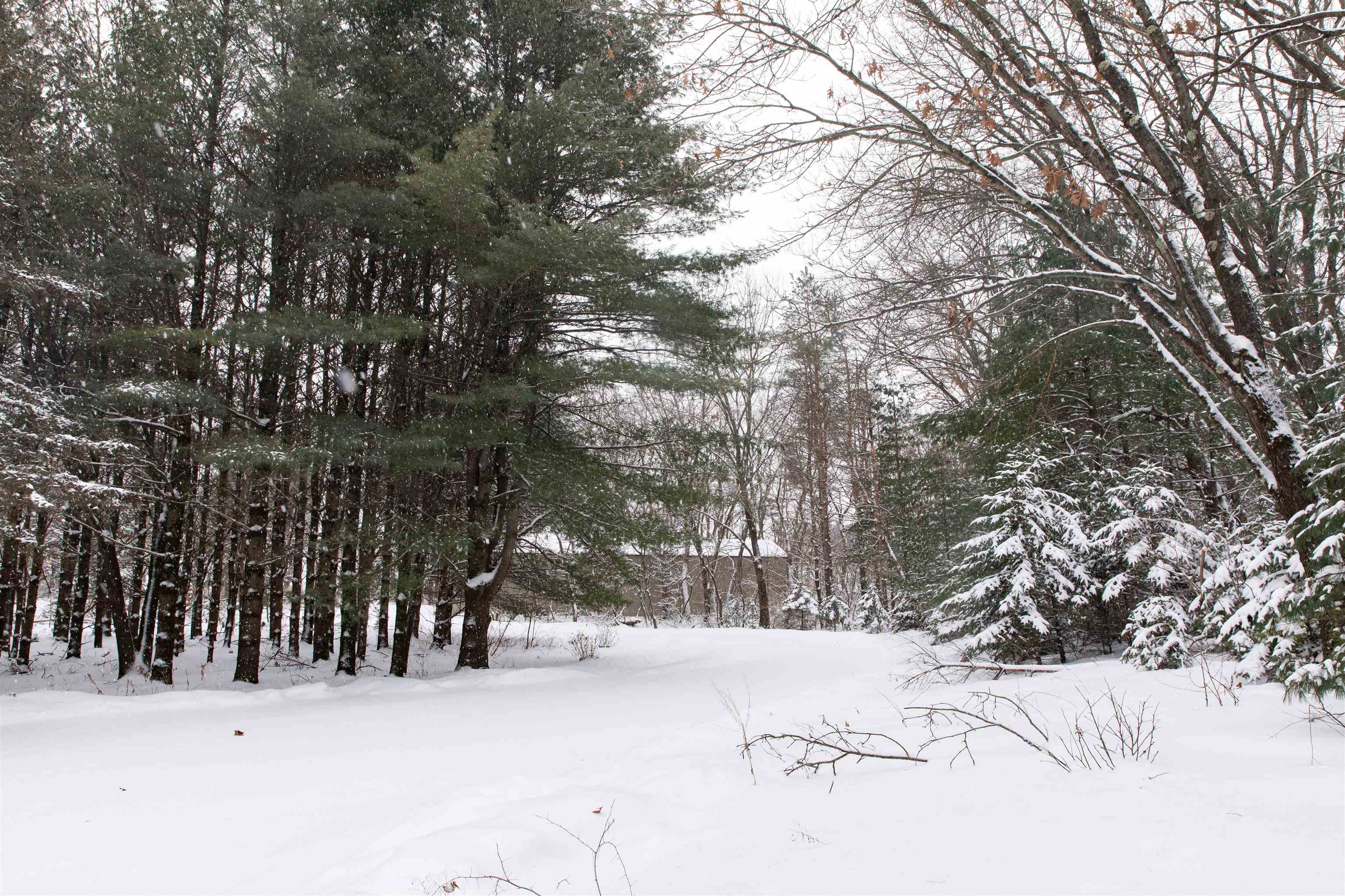 N1545 4th Coloma, WI 54930 - Photo 64 of 89