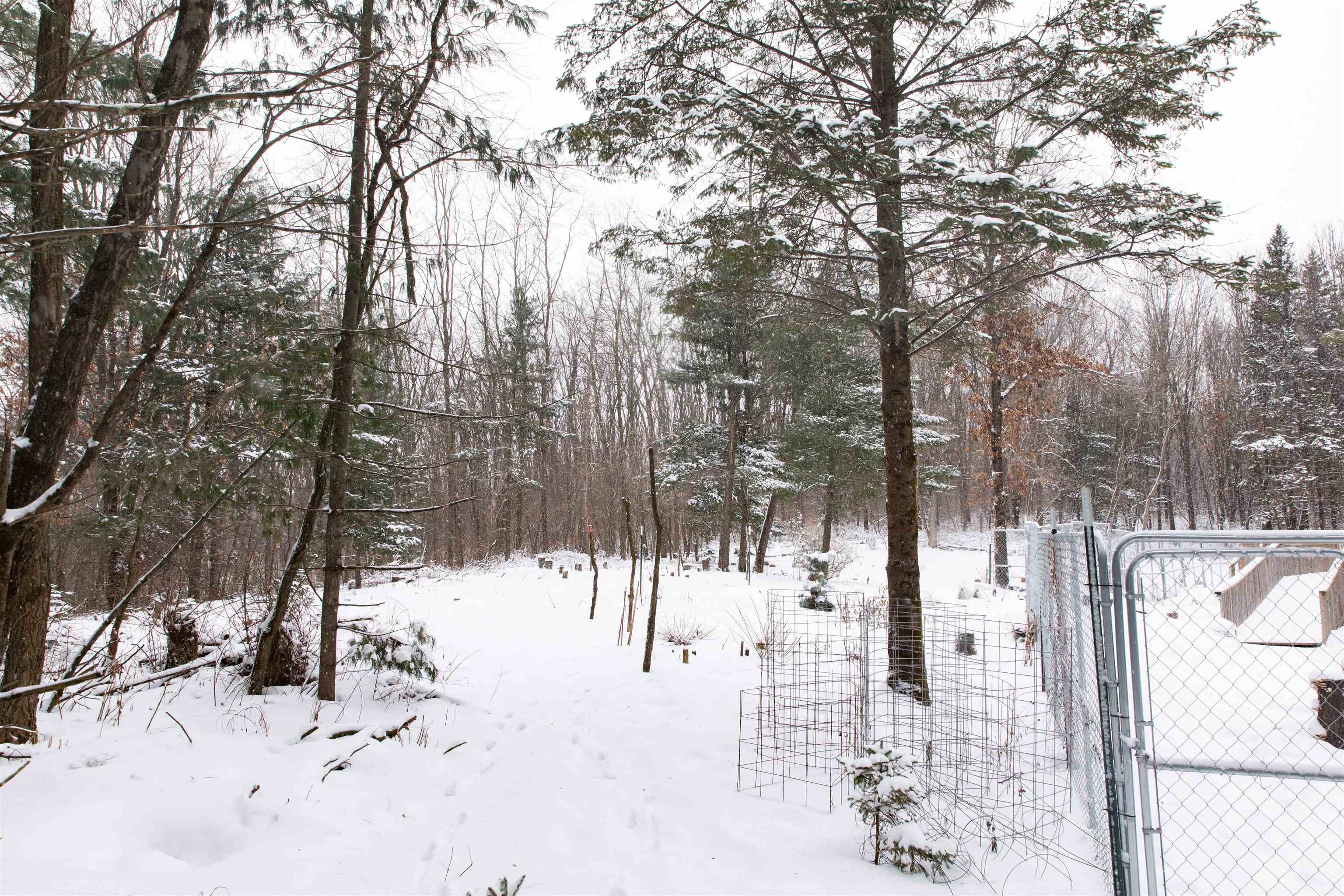 N1545 4th Coloma, WI 54930 - Photo 66 of 89