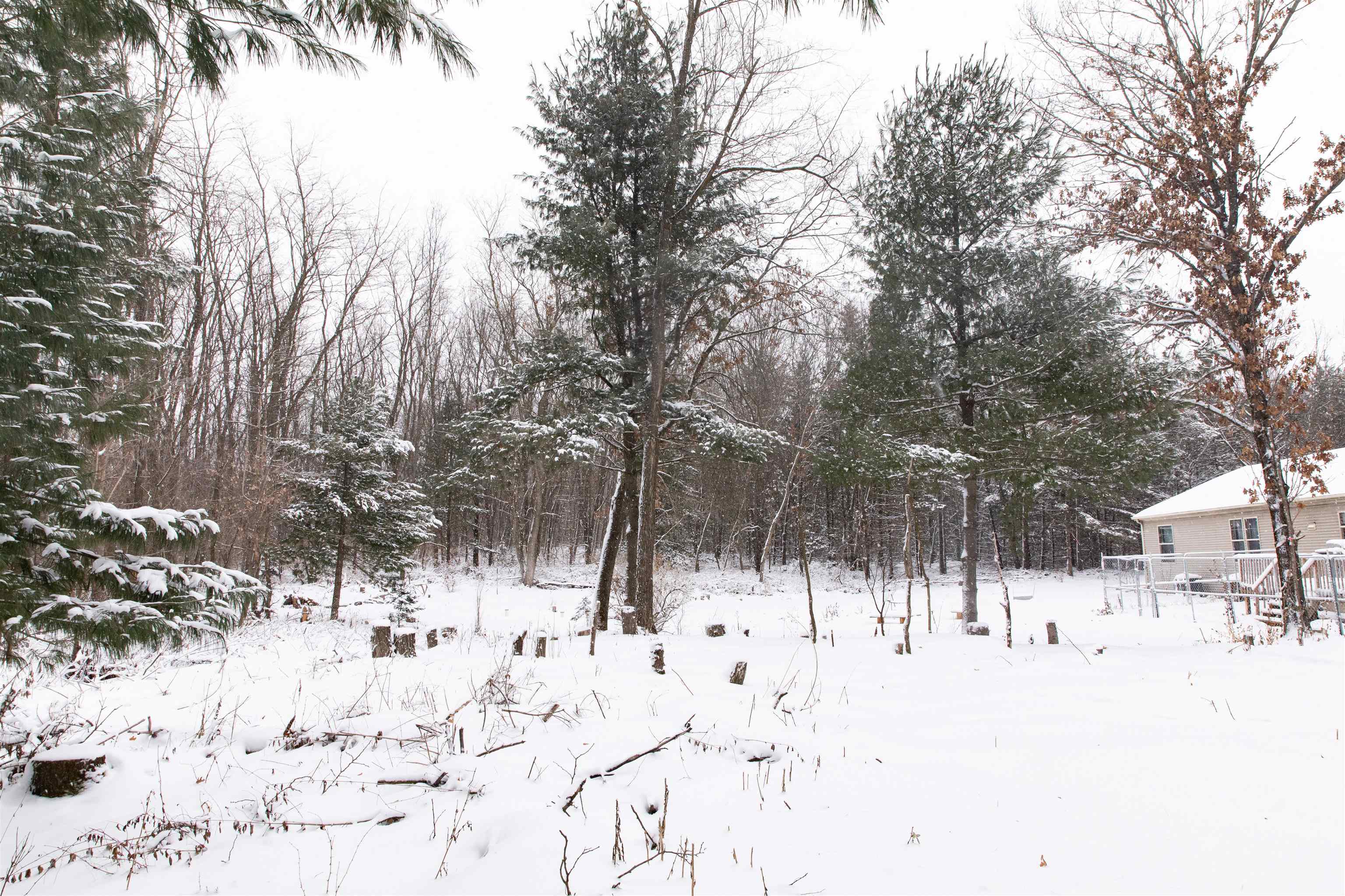 N1545 4th Coloma, WI 54930 - Photo 70 of 89