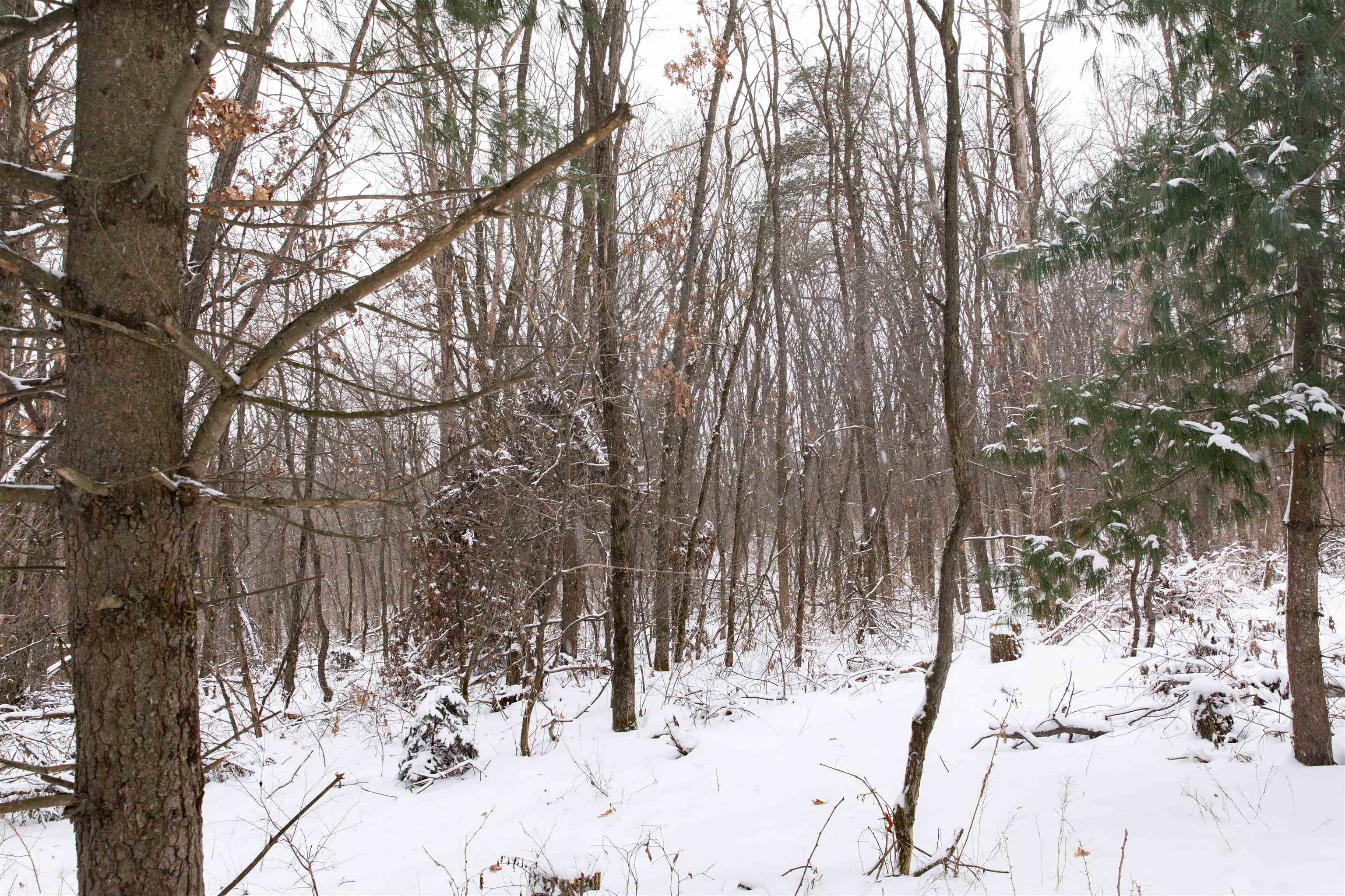 N1545 4th Coloma, WI 54930 - Photo 71 of 89