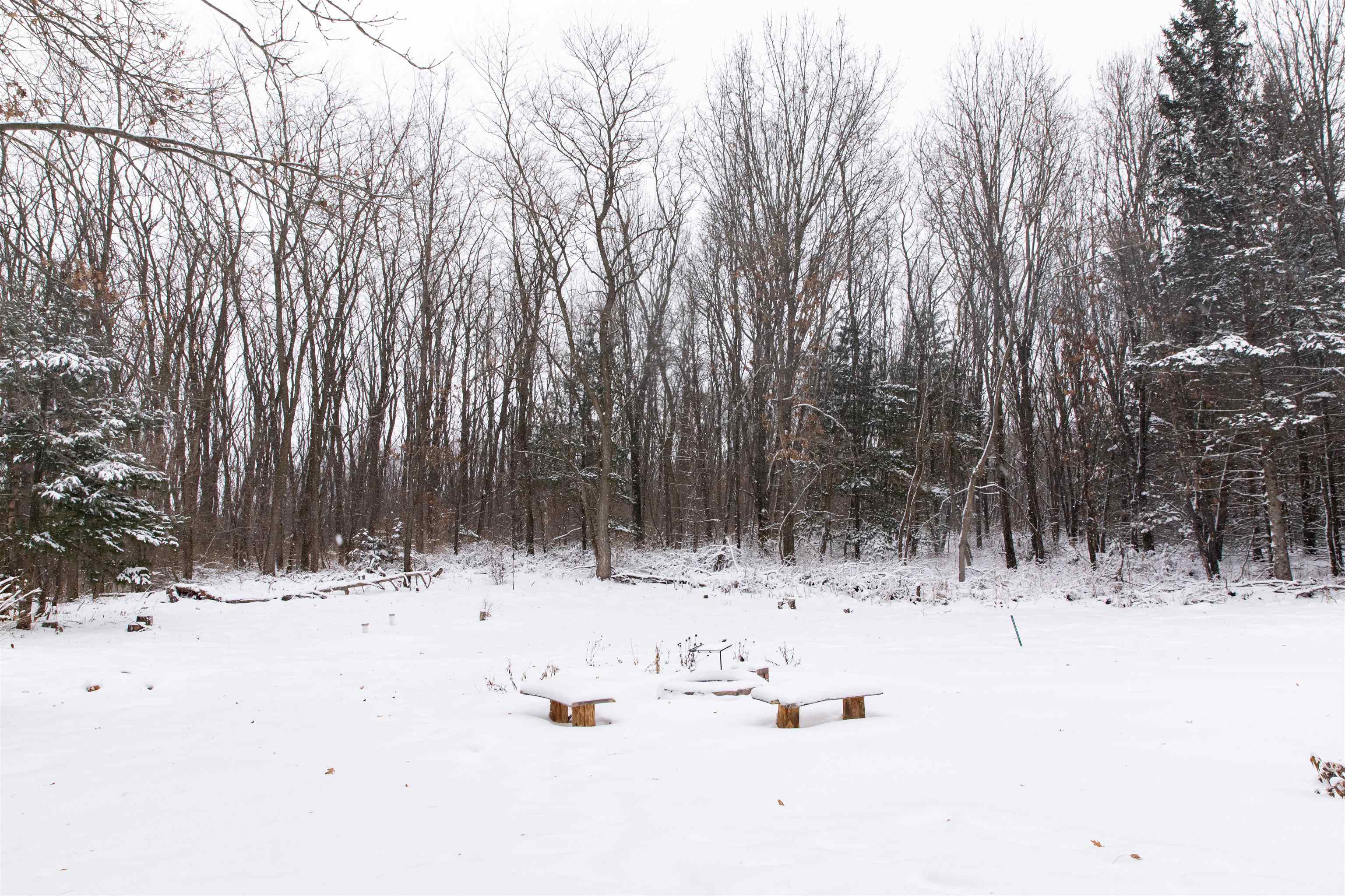 N1545 4th Coloma, WI 54930 - Photo 80 of 89