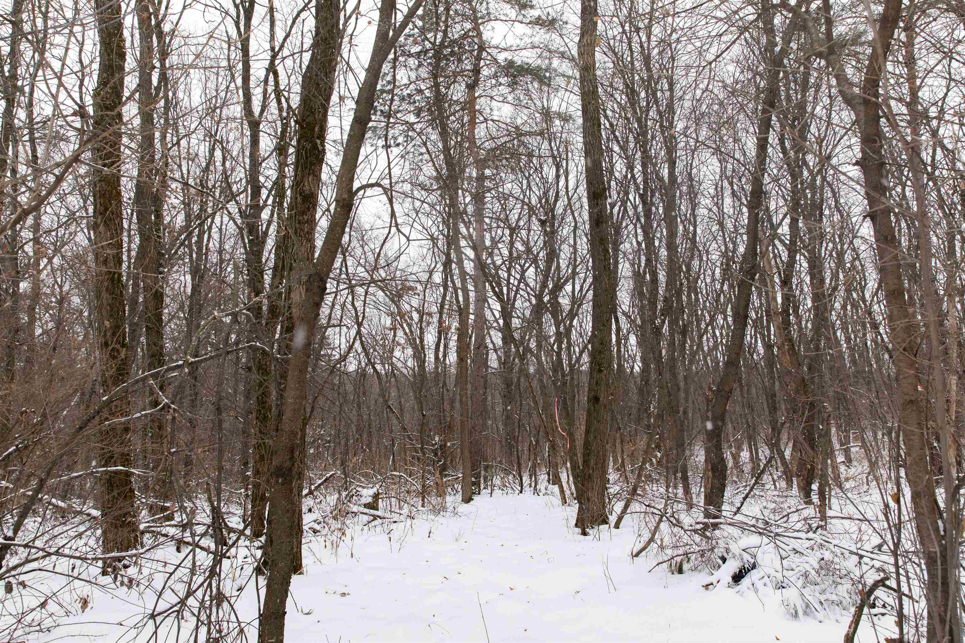 N1545 4th Coloma, WI 54930 - Photo 81 of 89