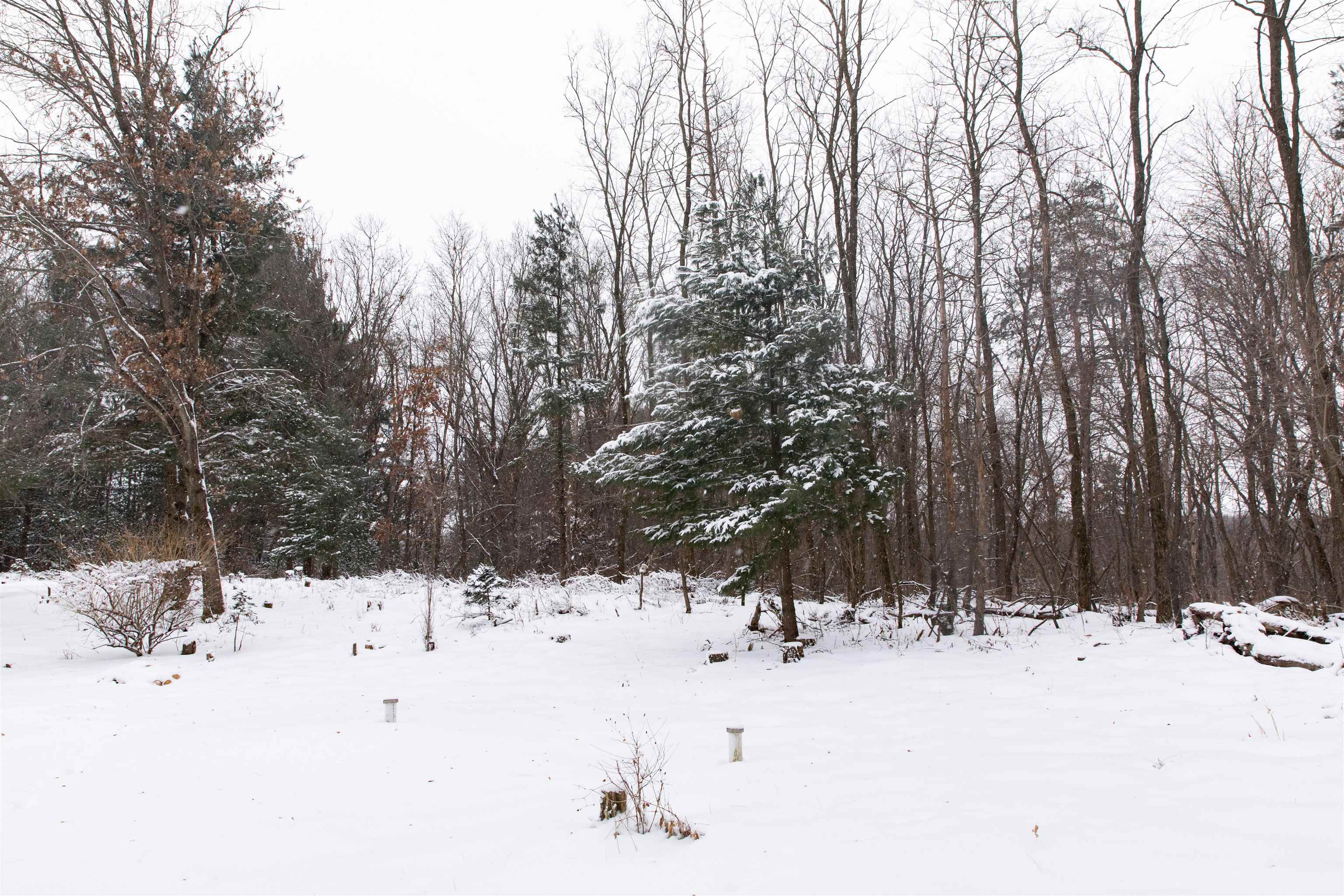 N1545 4th Coloma, WI 54930 - Photo 81 of 89