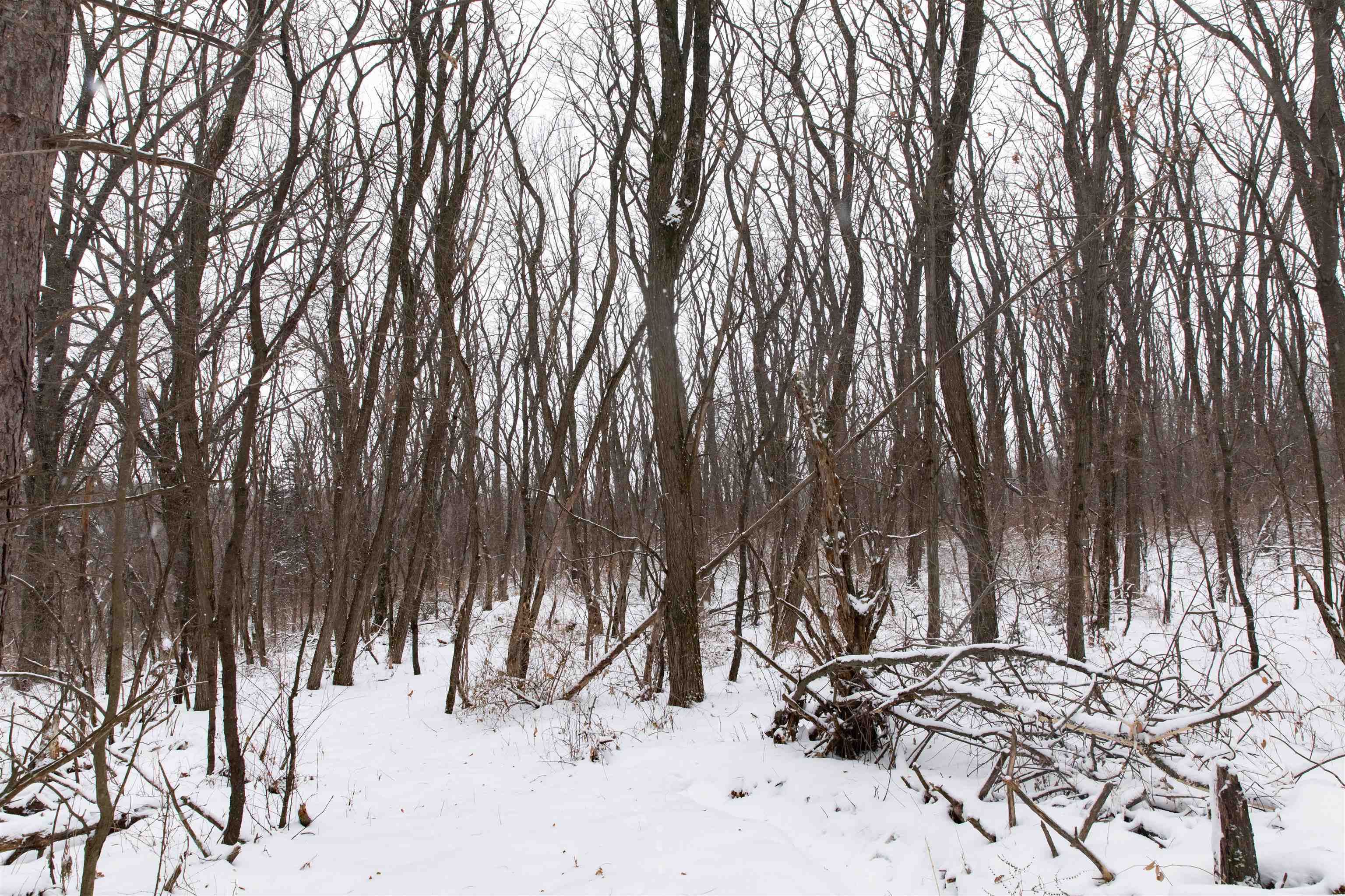 N1545 4th Coloma, WI 54930 - Photo 83 of 89