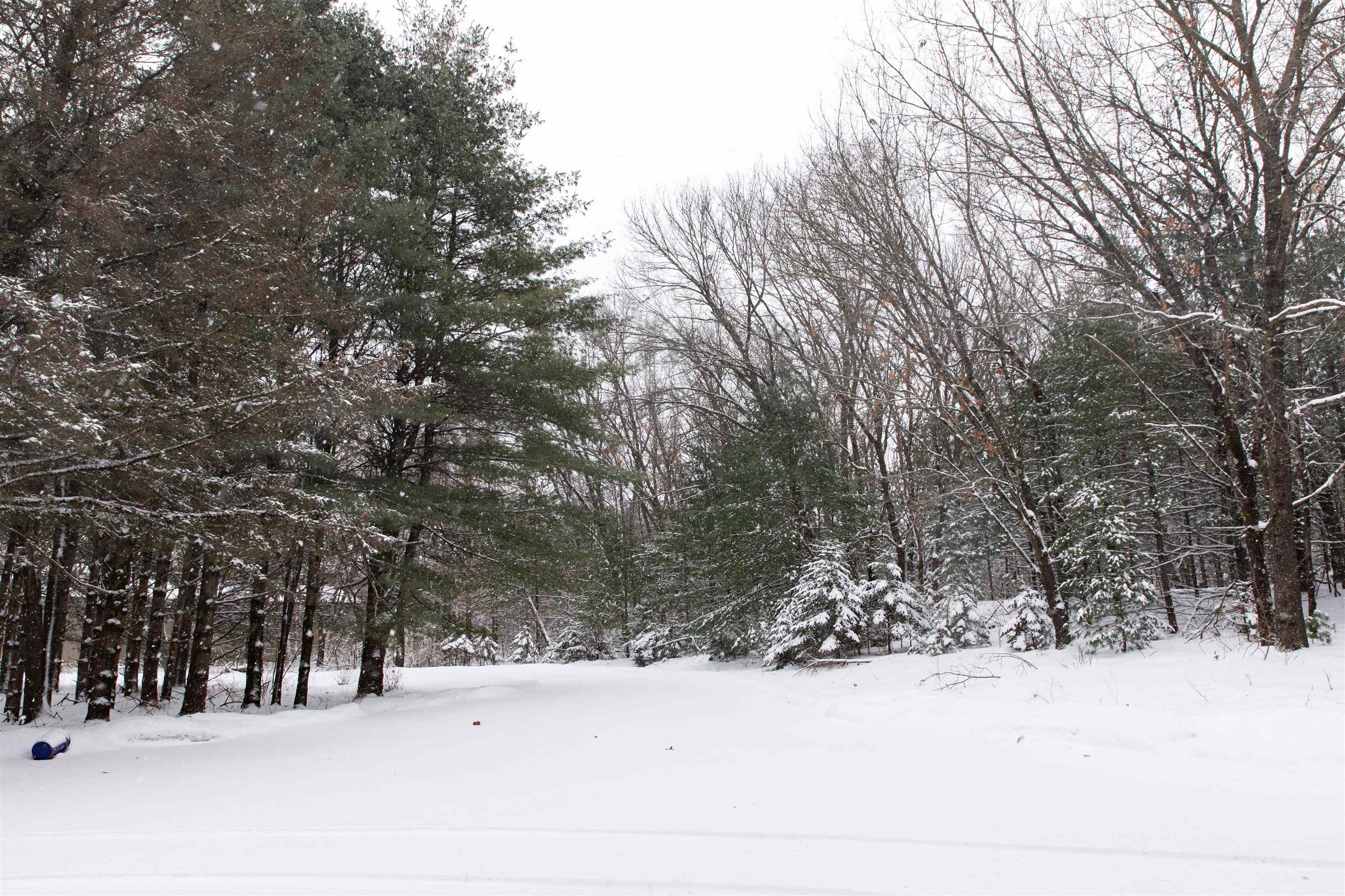 N1545 4th Coloma, WI 54930 - Photo 84 of 89