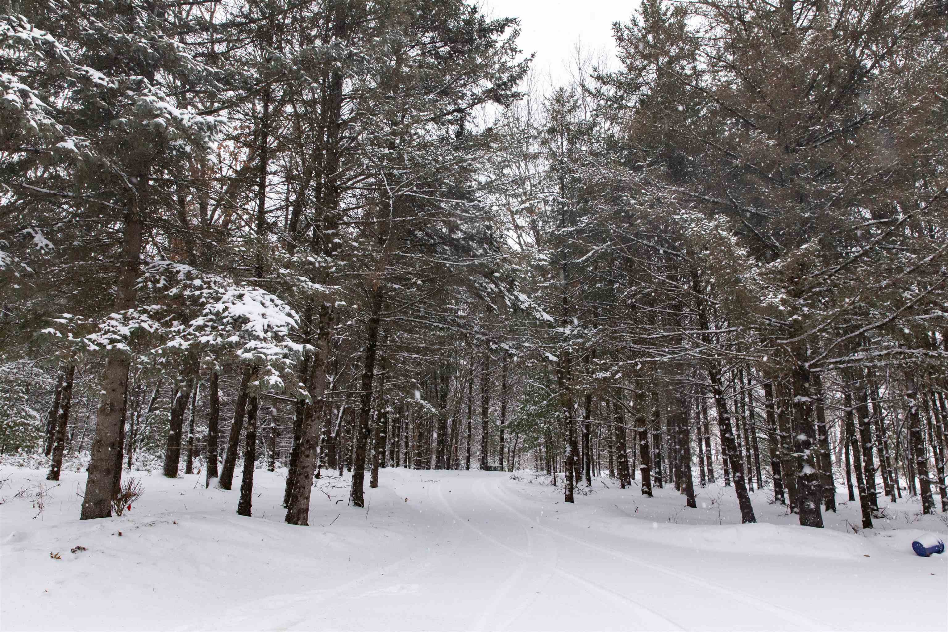 N1545 4th Coloma, WI 54930 - Photo 85 of 89