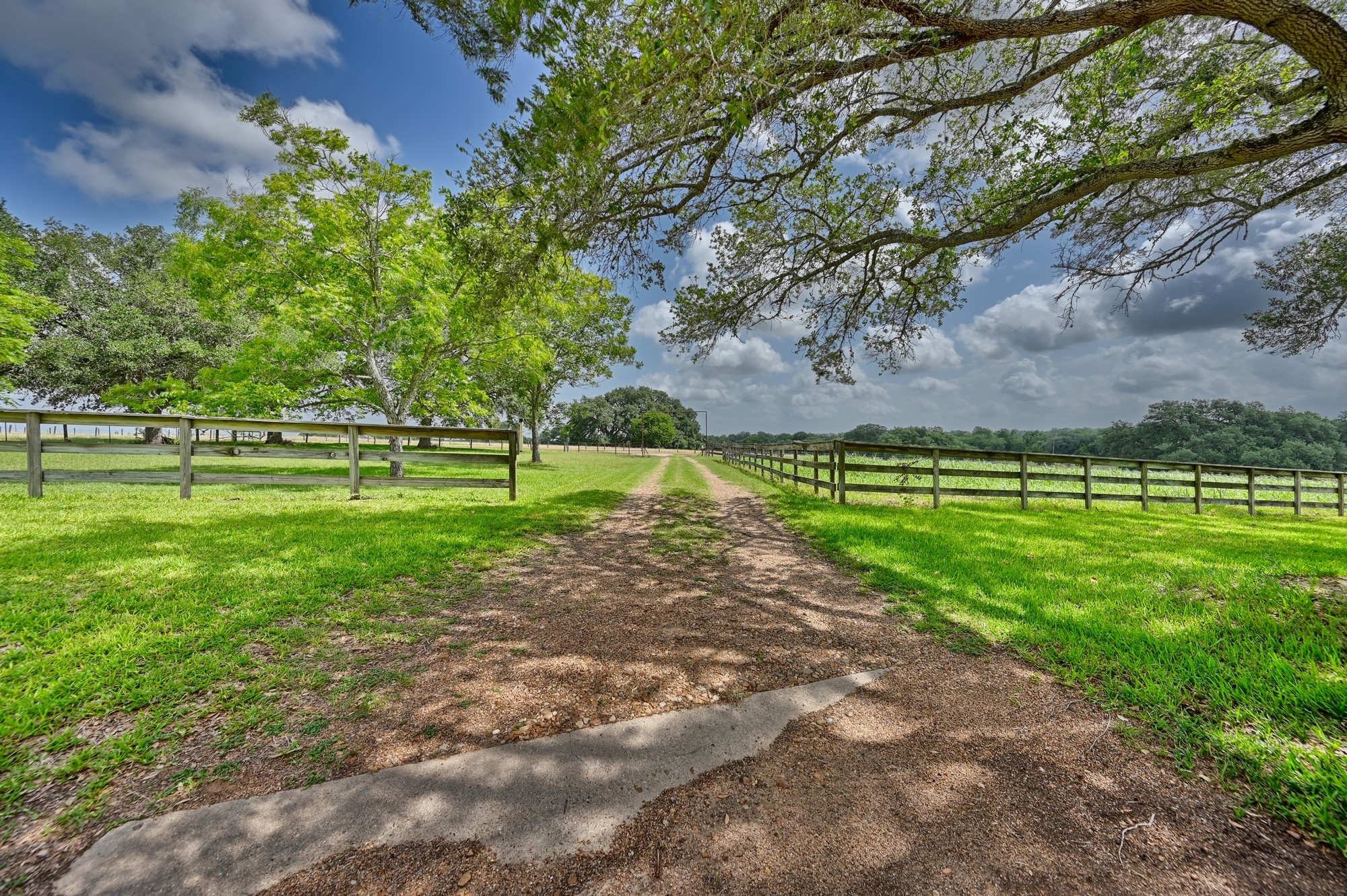 1552 Holub Road Schulenburg, TX 78956 - Photo 34 of 43 a view of a park with large trees