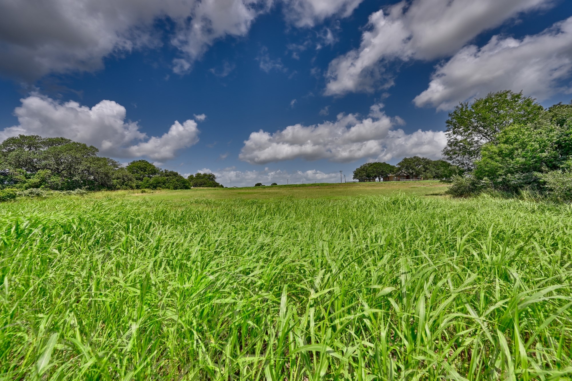 1552 Holub Road Schulenburg, TX 78956 - Photo 35 of 43 a backyard of a house with lots of green space