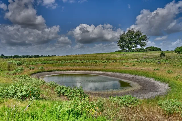 a view of a swimming pool with a yard