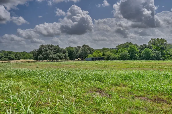 a view of a green field with wooden fence