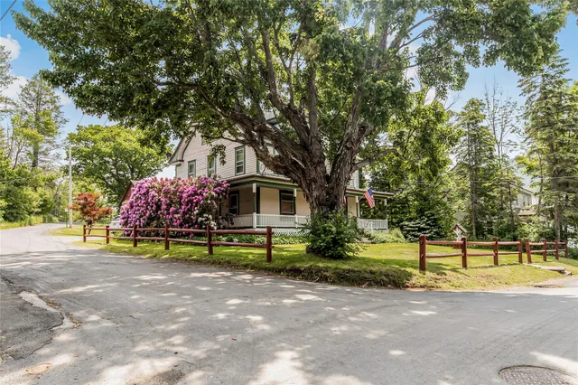 a view of a park with large trees