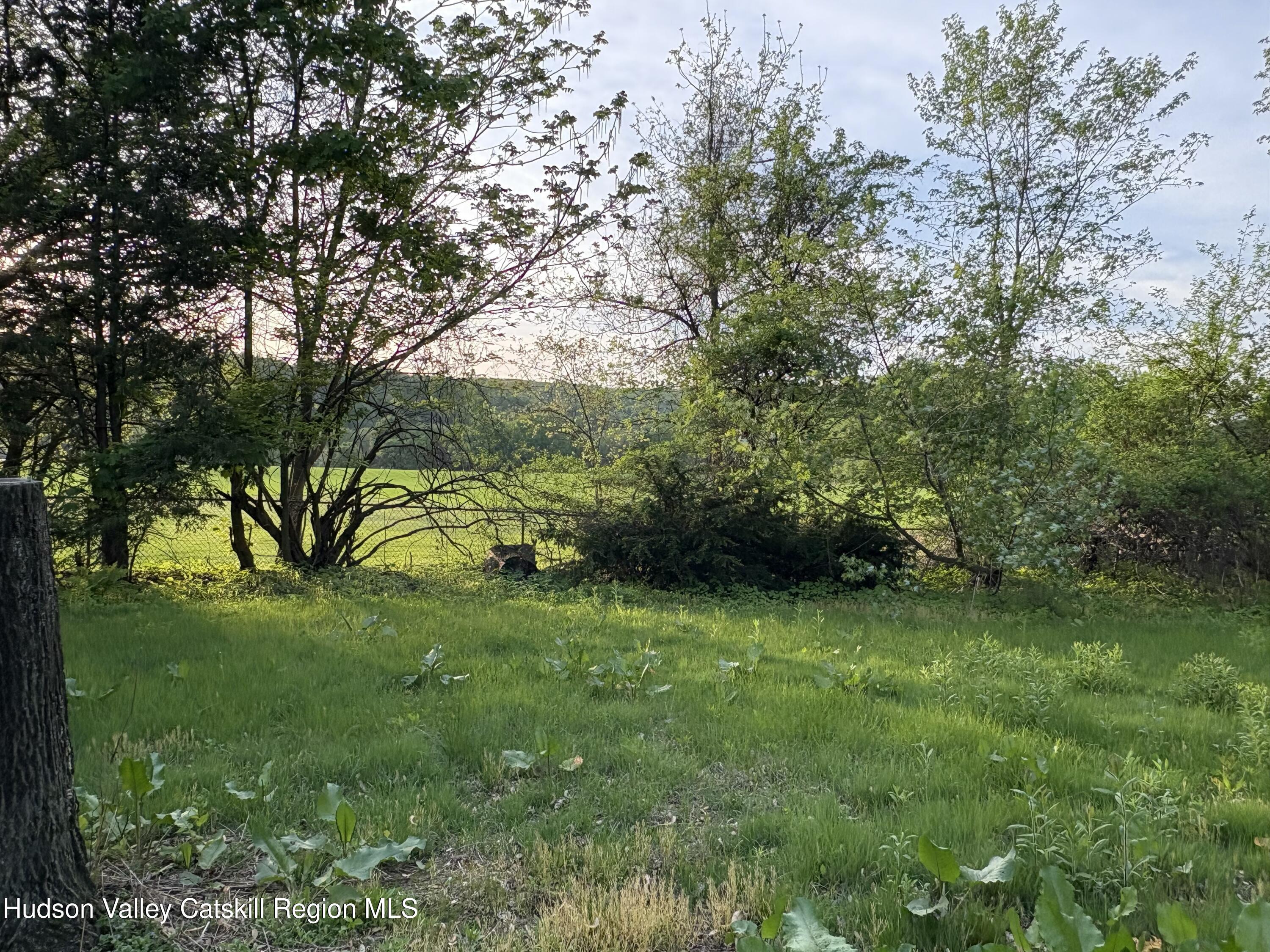 356 Wynkoop Road Hurley, NY 12443 - Photo 8 of 19 IMG_1351