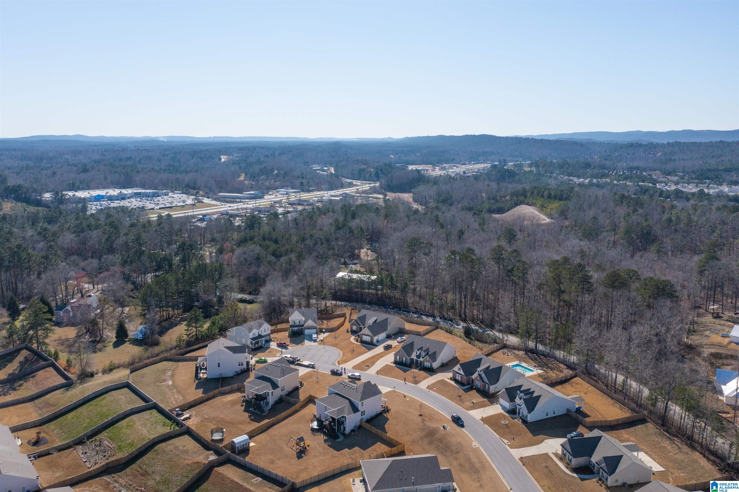 4023 Laura Lane Chelsea, AL 35043 - Photo 43 of 47