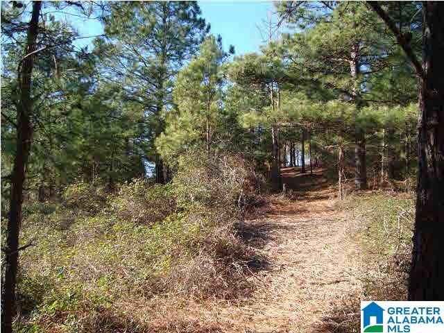 29 Highway Ac Al, Unit 33 Oneonta, AL 35121 - Photo 4 of 23