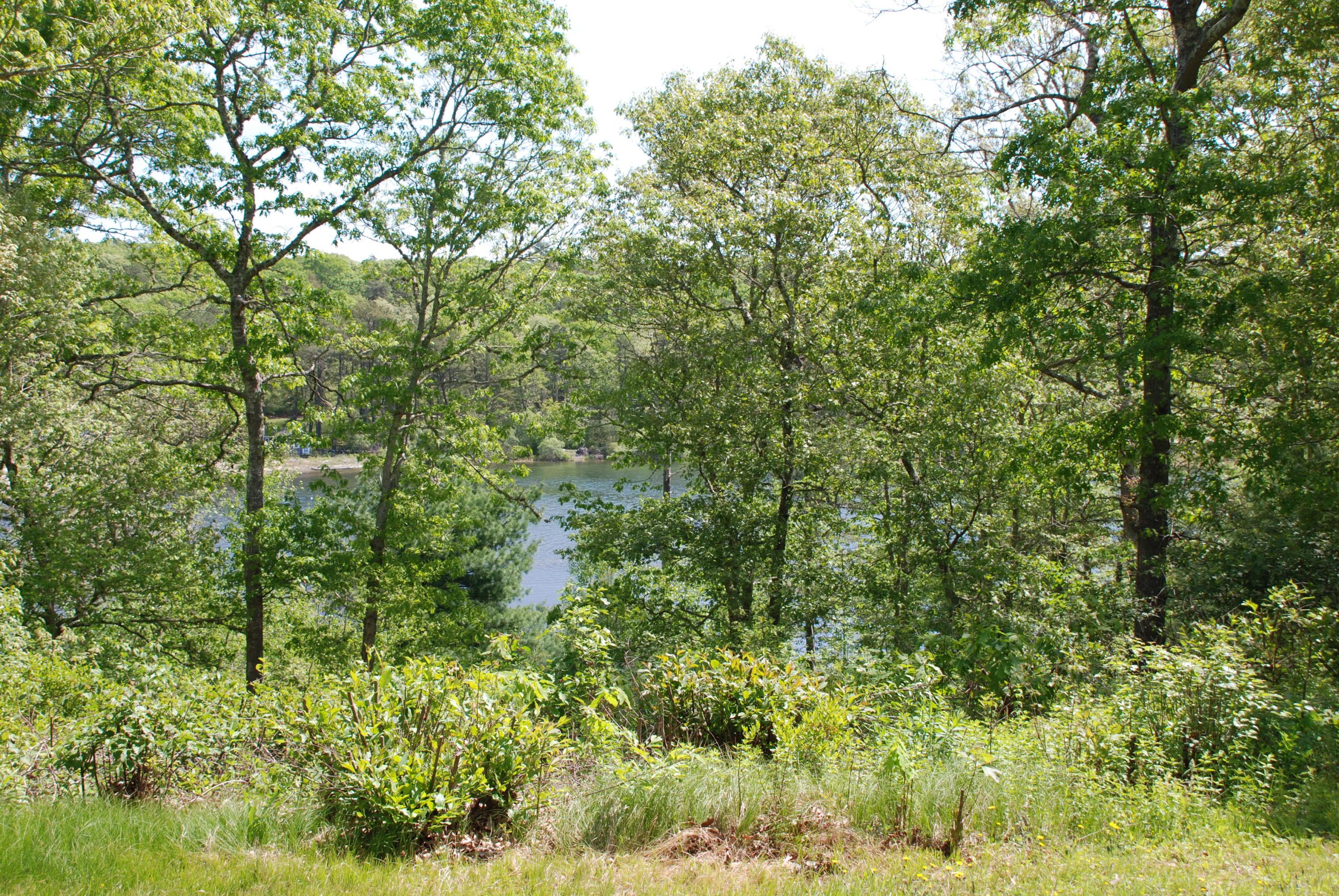 39 Arnold Road Forestdale, MA 02644 - Photo 25 of 30 DSC_0135