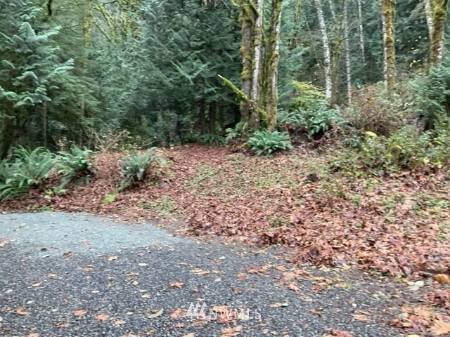 1814 Old Samish Road Bellingham, WA 98229 - Photo 3 of 18 Gallery Image 3