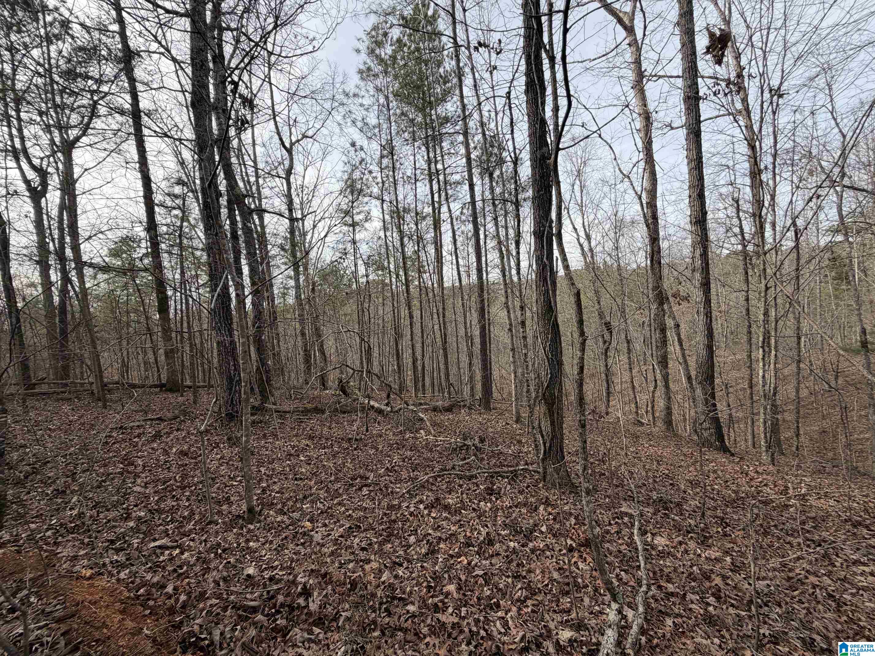 0 James Lake Road, Unit 1 Trussville, AL 35173 - Photo 18 of 18