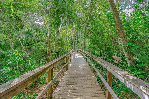 a view of a pathway with a yard
