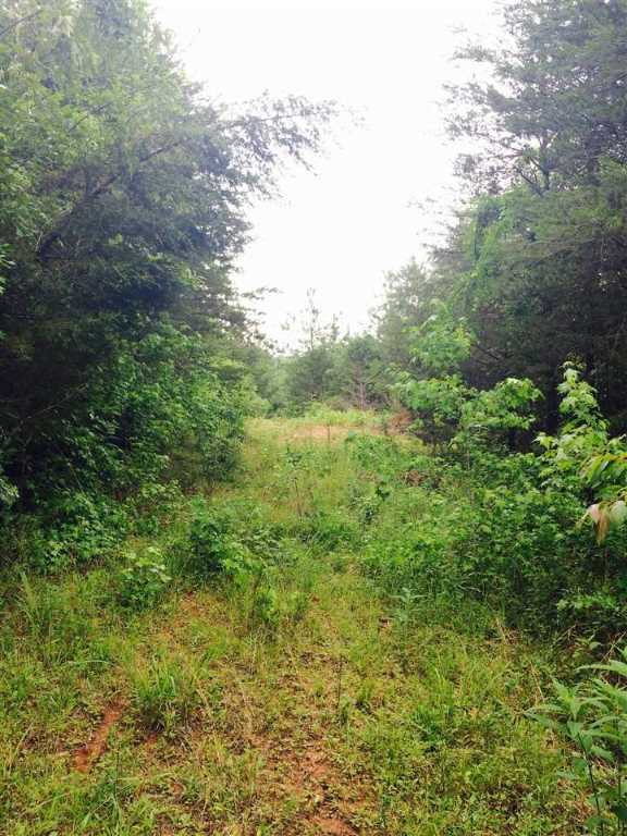 12-acres Ridgefield Road Westminster, SC 29693 - Photo 2 of 6 Gallery Image 2